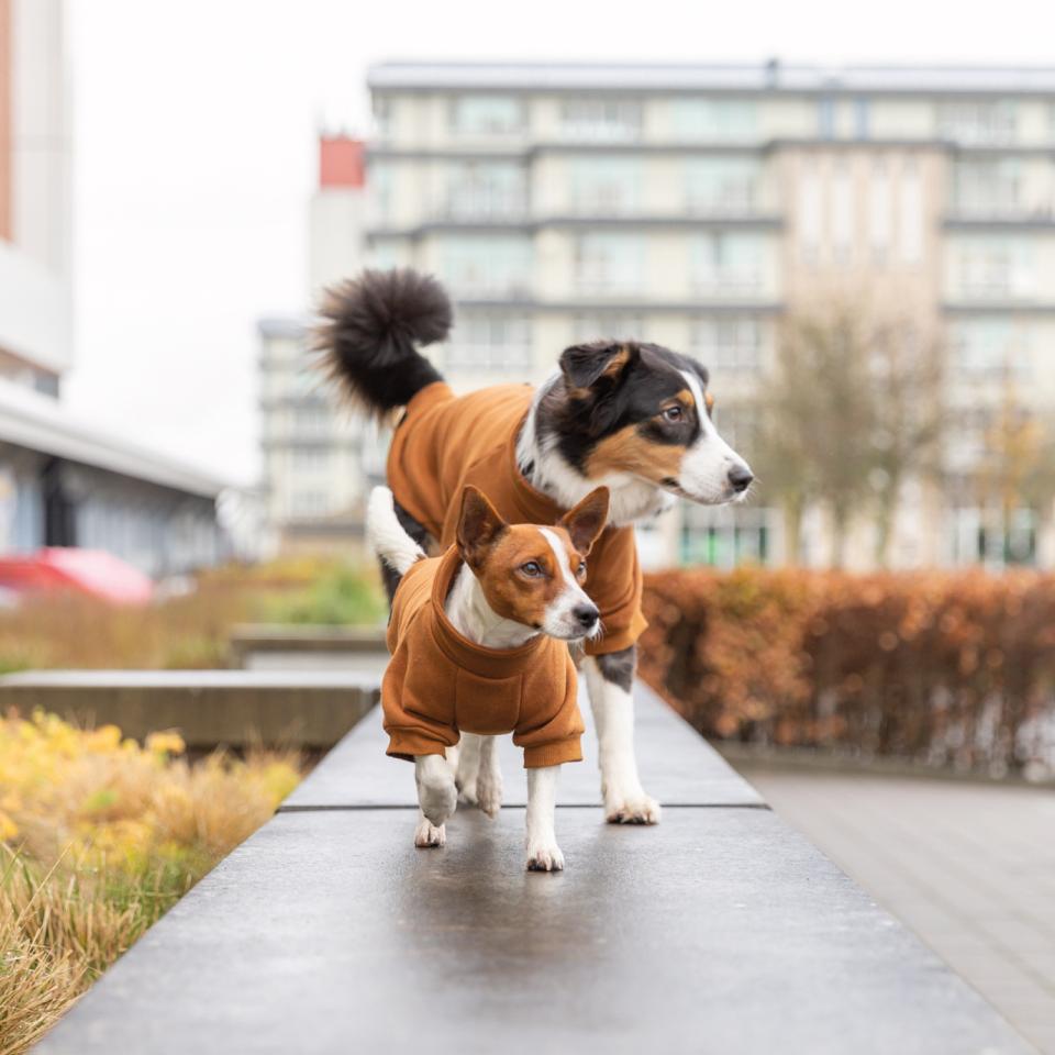 Trixie CityStyle Amsterdam sweatshirt for dogs
