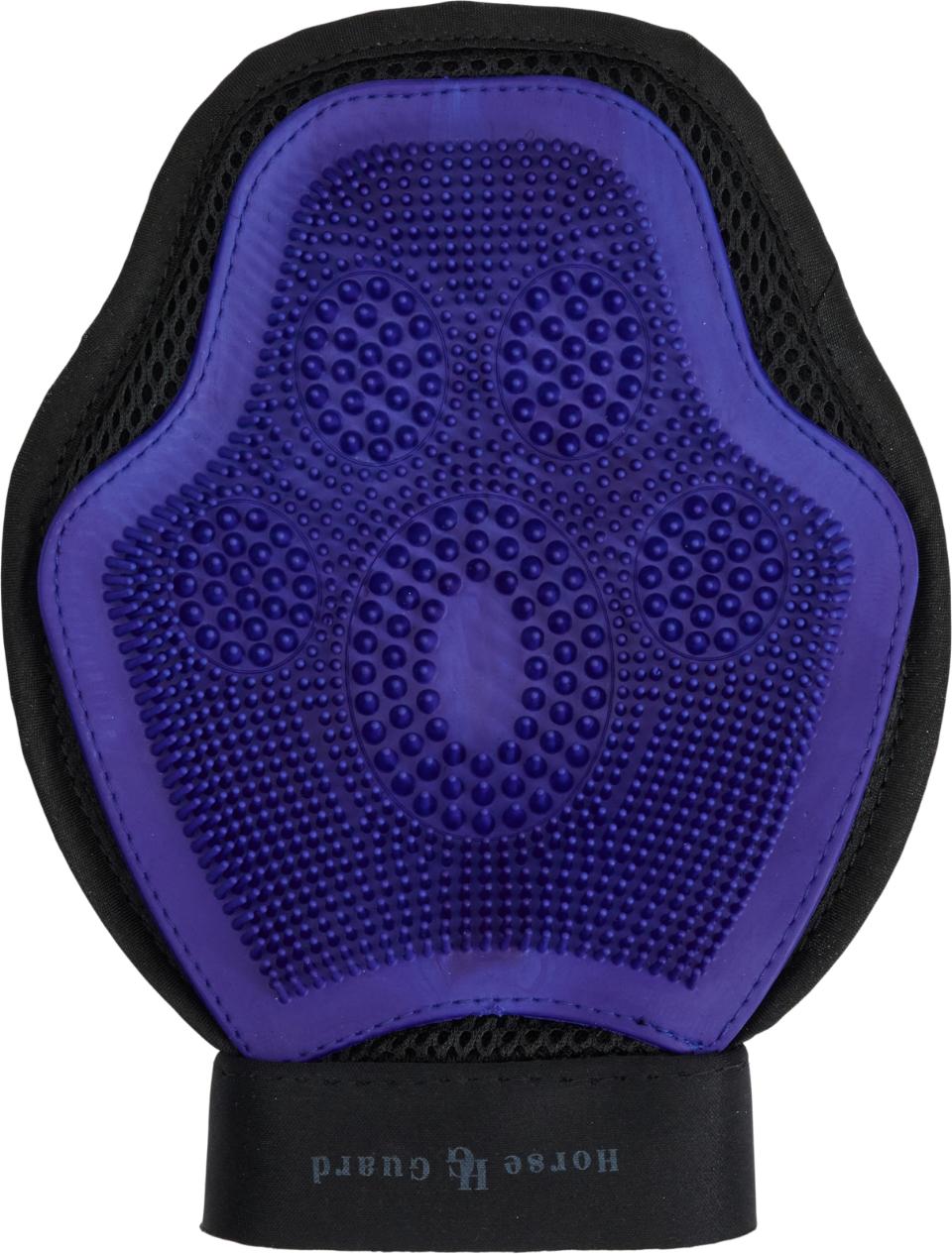 HorseGuard Grooming Handske