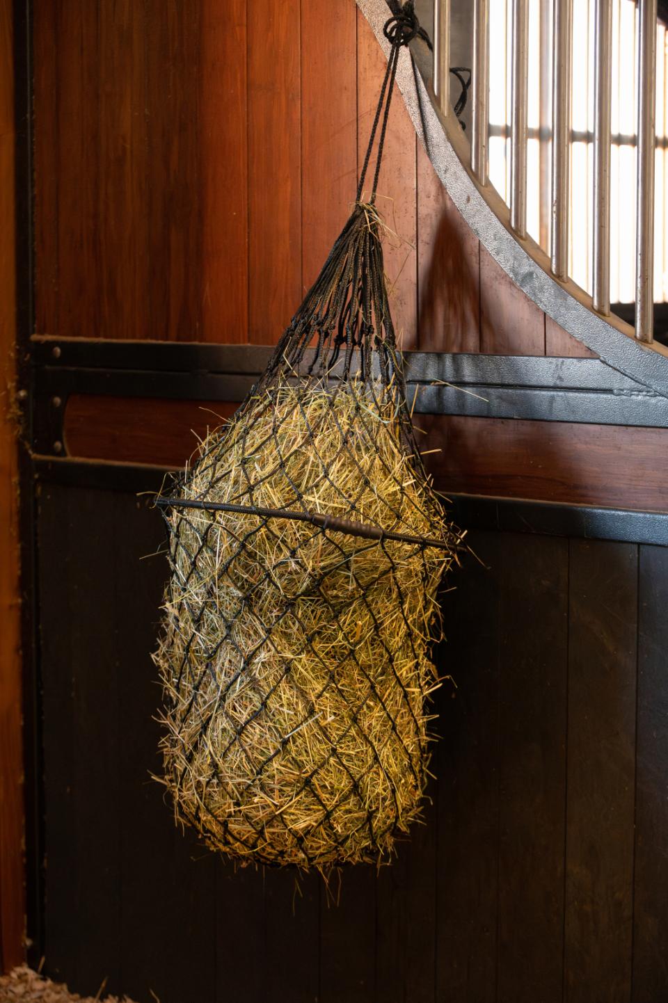 HorseGuard Samo Hønet