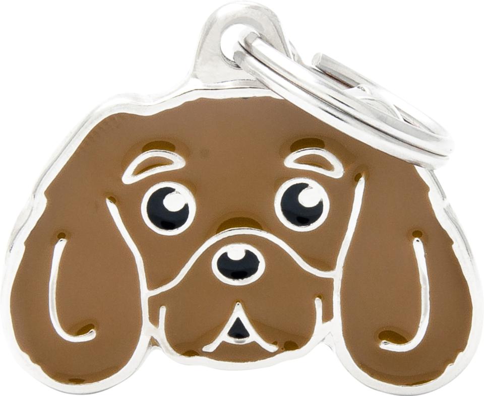 MyFamily Friends, Cavalier King Charles Spaniel