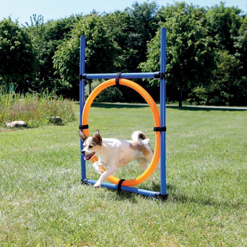 Agility Ring