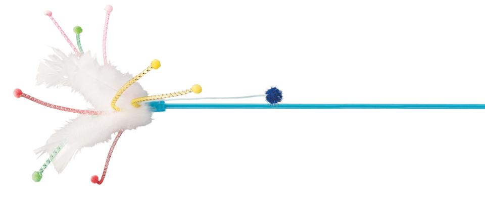 Cat Toy Playing Rod