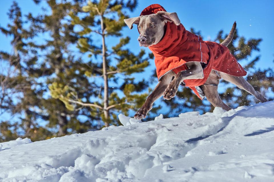 Hurtta Extreme Warmer III ECO hundefrakke