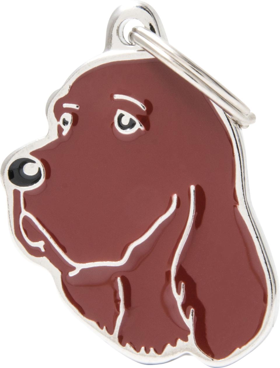 MyFamily Friends, Irsk setter