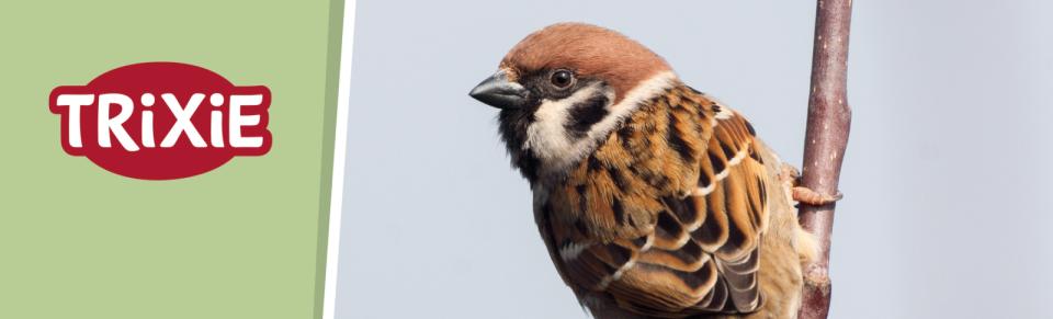 Magnet skilt t. Tego reol fugl udendørs