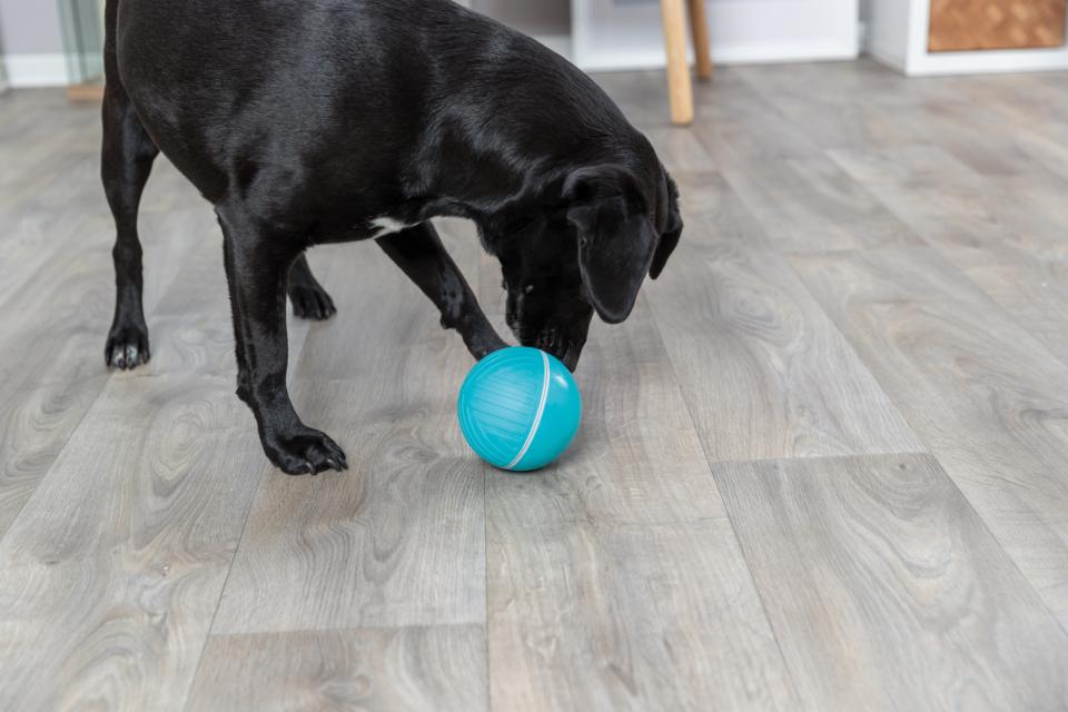 Trixie Snackbold i plastik