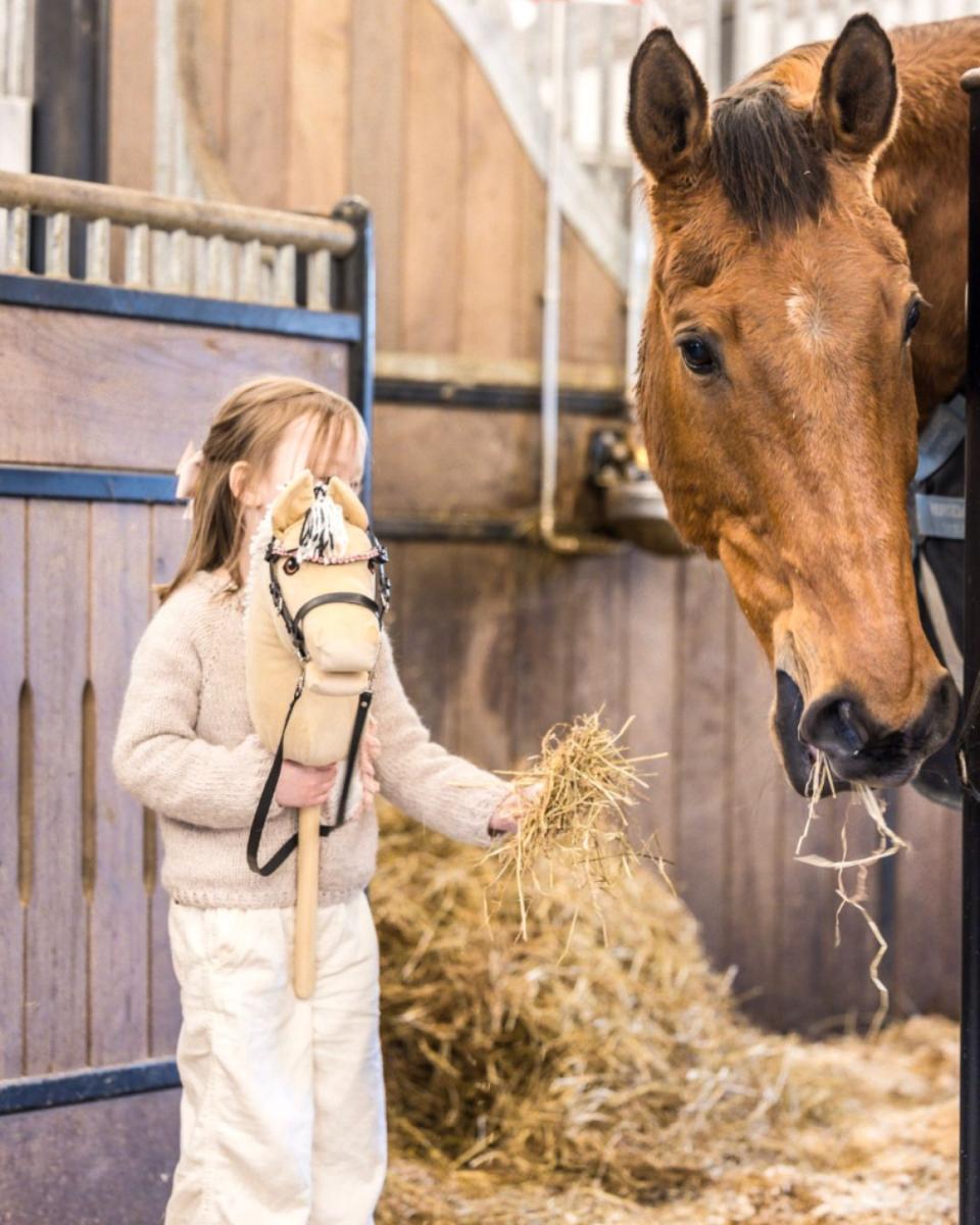 My Hobby Horse Browband, black with pink stones