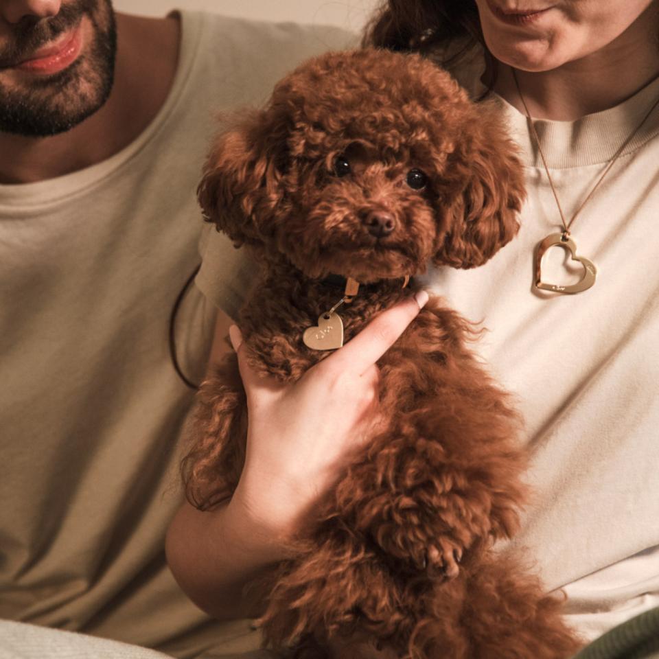 MyFamily Double, hjerte