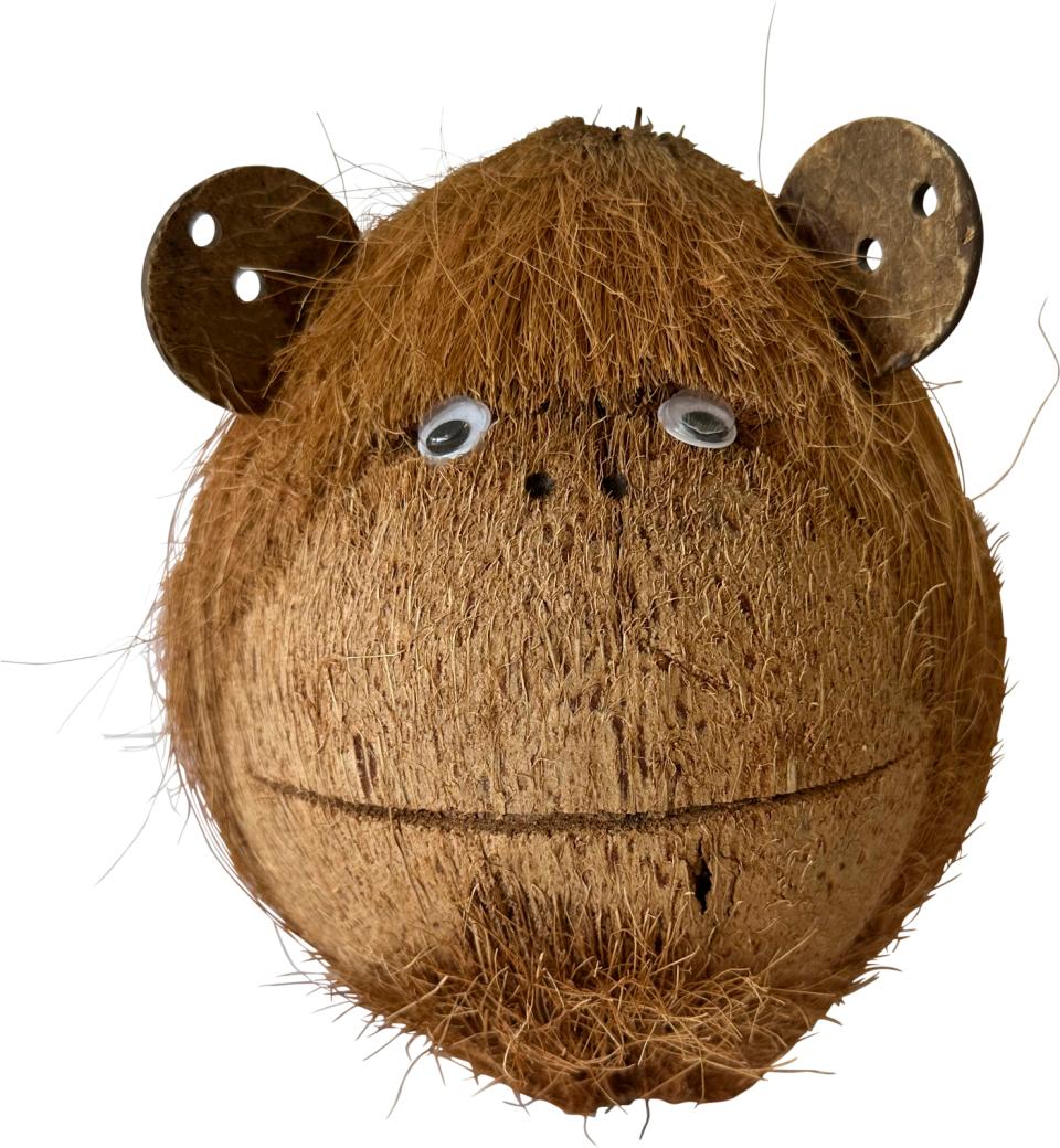 Coco Monkey 2, hul i baghoved