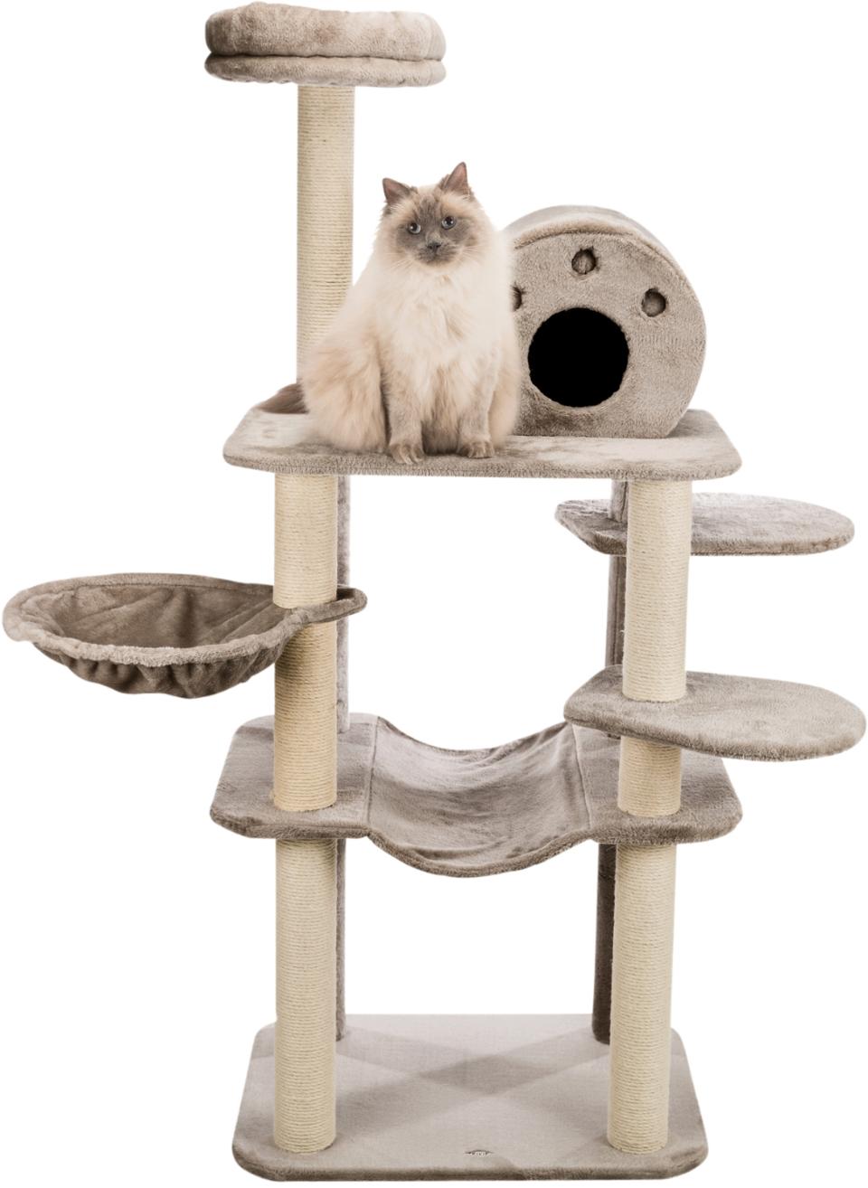 Trixie Fabiola klorestativ