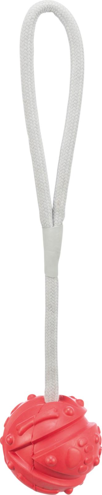 Jolly Paw Aqua Toy ball on a rope