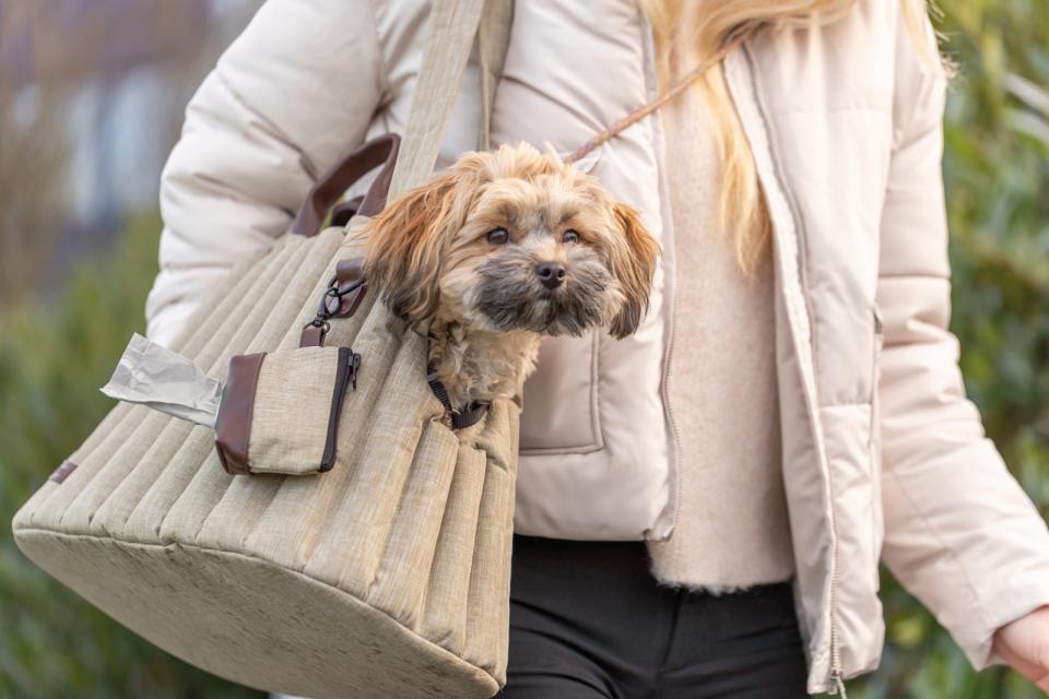 Trixie transporttaske Sophie