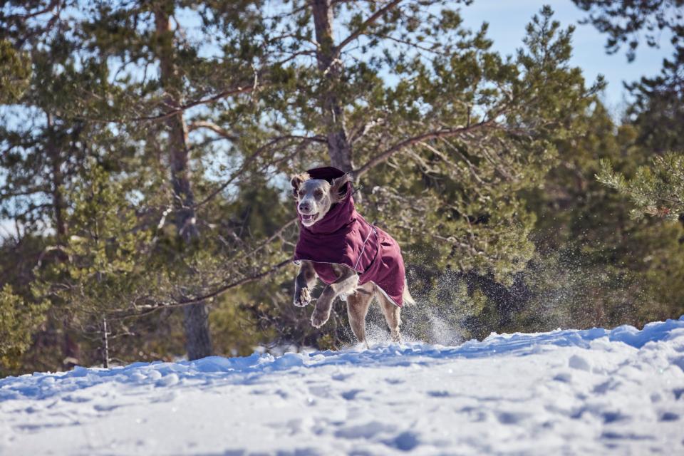 Hurtta Extreme Warmer III ECO hundefrakke