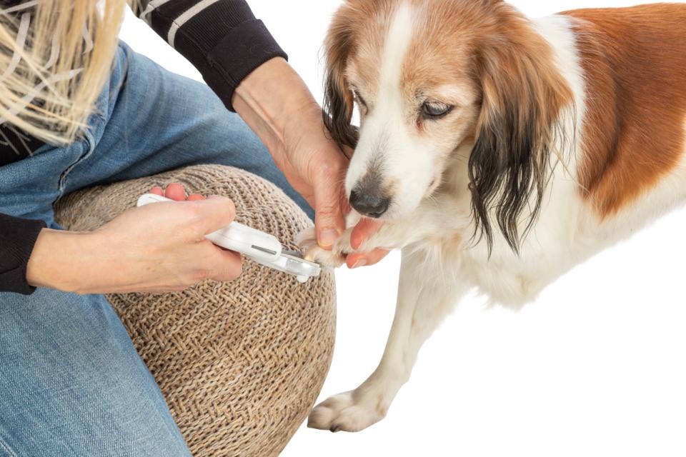 Trixie neglesaks med LED