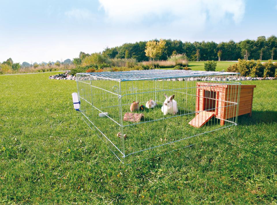 Outdoor Run with Cover