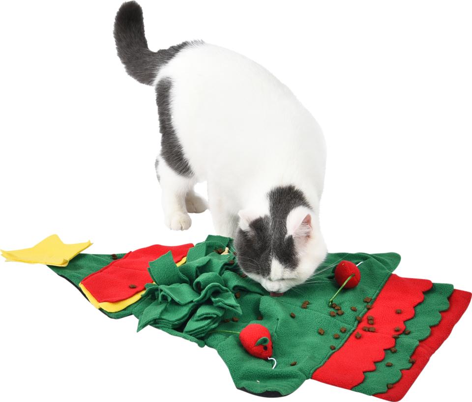 Companion X'mas cat sniffing carpet