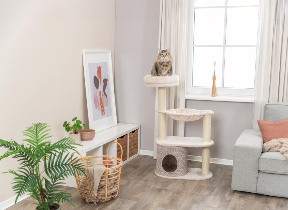 Trixie Alessia kradsetræ