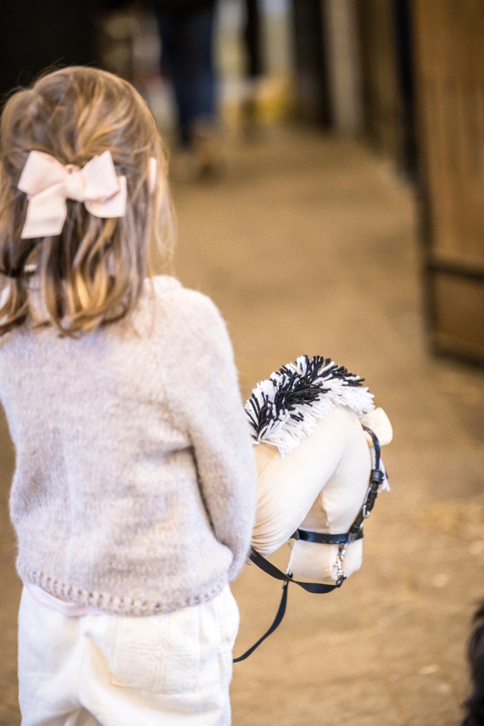 My Hobby Horse Käpphäst Fjord