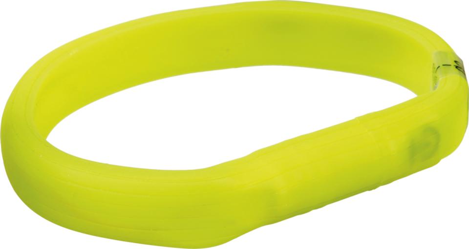 Flash Light Band USB