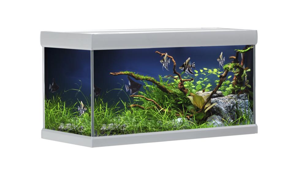 AkvaStabil FUSION akvarium