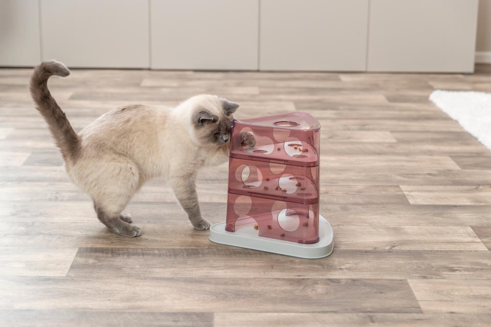 Trixie Aktivitetstårn