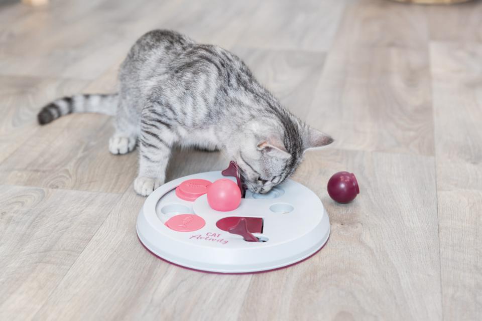 Cat Activity Flip Board strategi spil