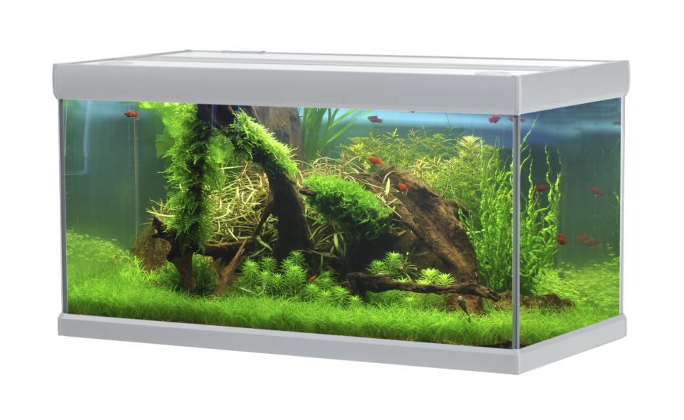 AkvaStabil FUSION akvarium