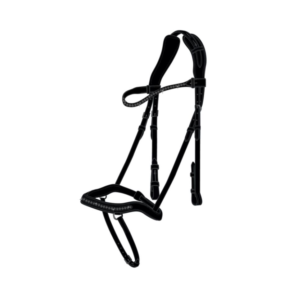 CATAGO Raja icelandic träns