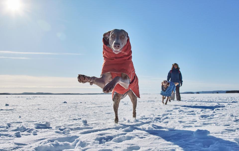 Hurtta Extreme Warmer III ECO hundefrakke