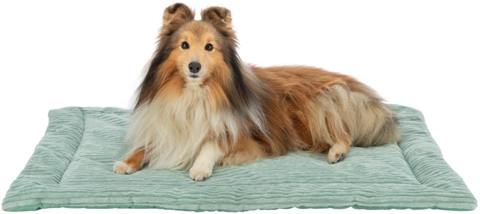 Trixie Jonna liggemåtte