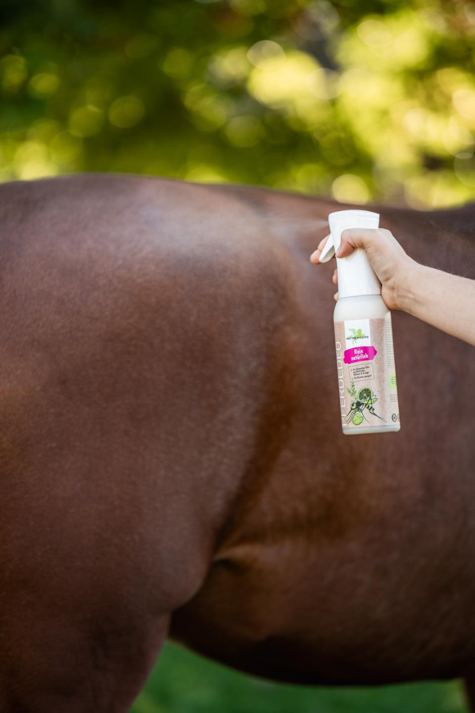 Bense & Eicke Heste Deo