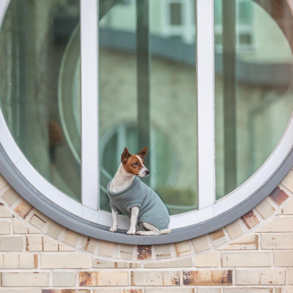 Trixie CityStyle Berlin pullover