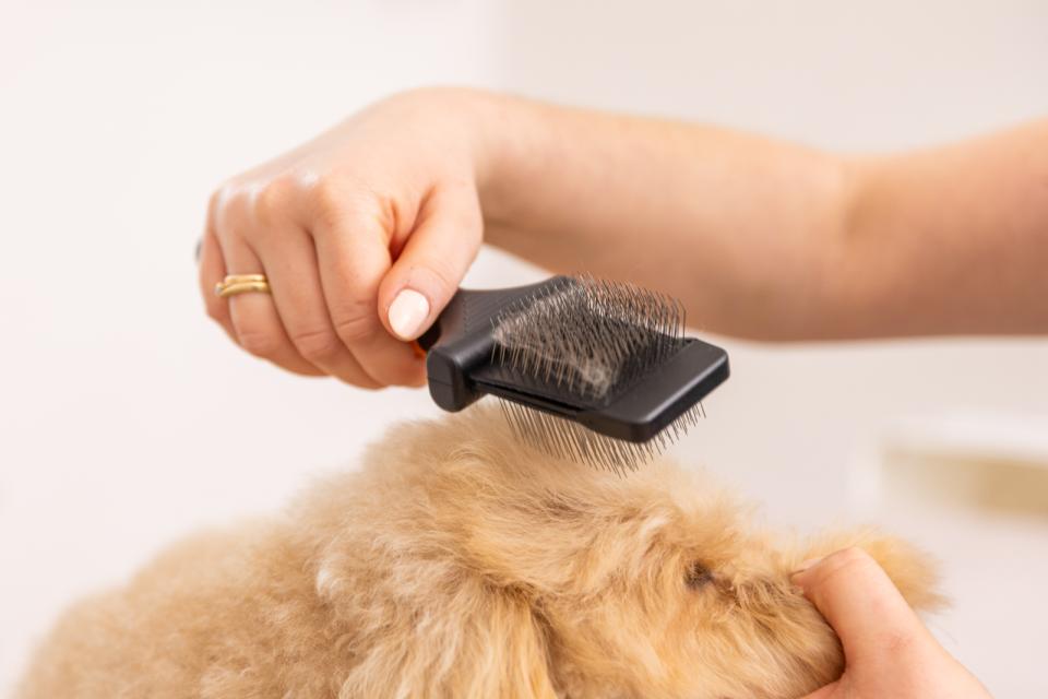 Wahl Premium Flexibel Slickerborste
