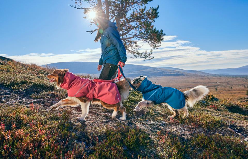 Hurtta Expedition Parka II Hundedecke