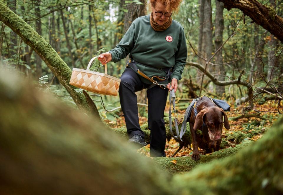 Hurtta Expedition ECO bælte