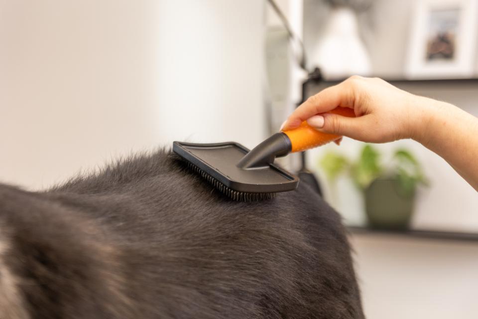 Wahl Stor Slicker borste