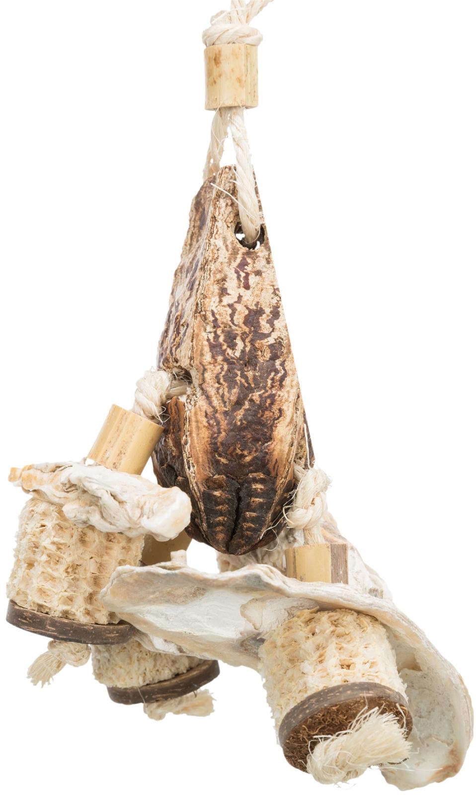 Natural toy, mahogany pod/sea shells