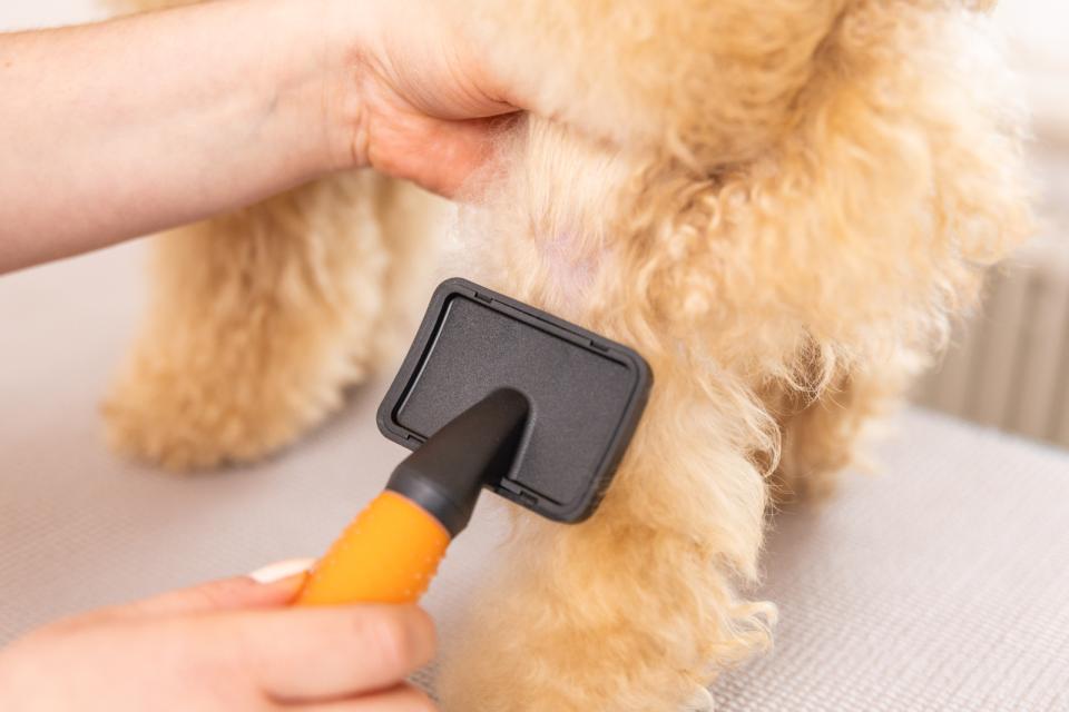 Wahl Small Slicker borste