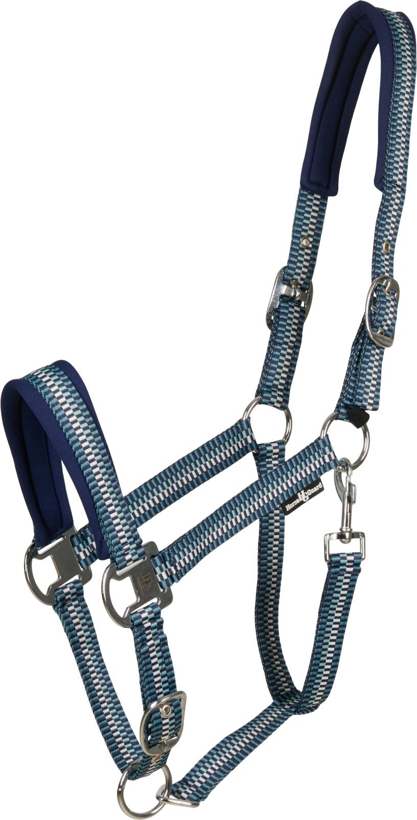 Horse Guard Cole-grime