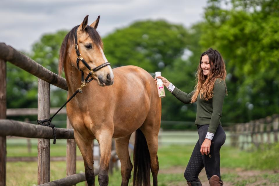 Bense & Eicke Heste Deo Superfresh