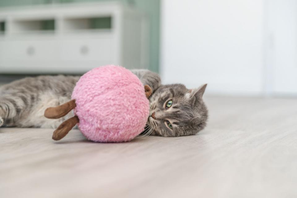 Trixie Peach XXL kattelegetøj