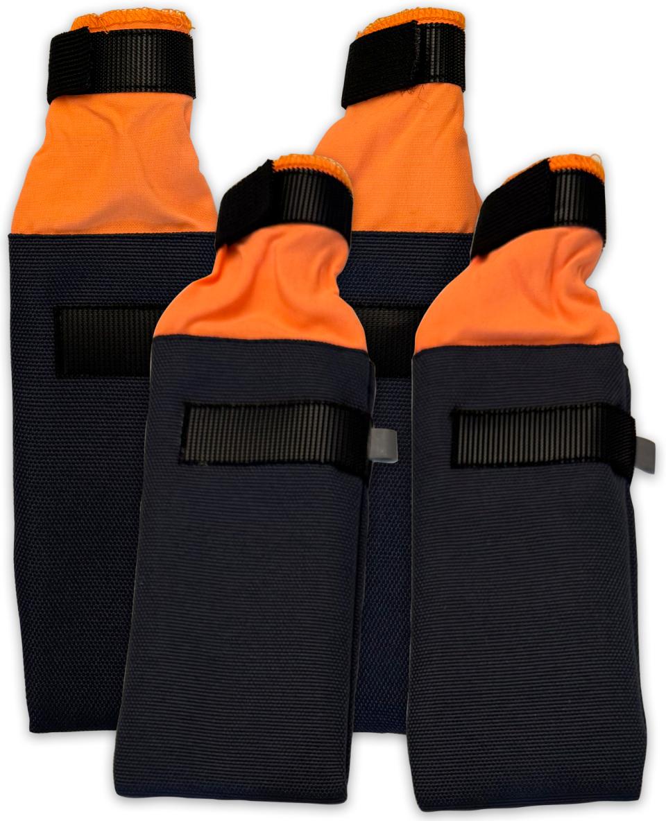 Companion dog booties