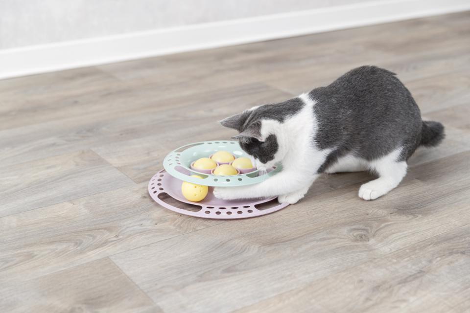 Junior legecirkel til killinger