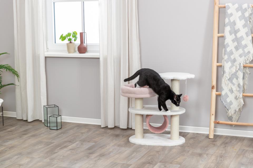 Trixie Isabella kradsetræ