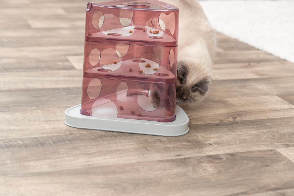 Trixie Aktivitetstårn