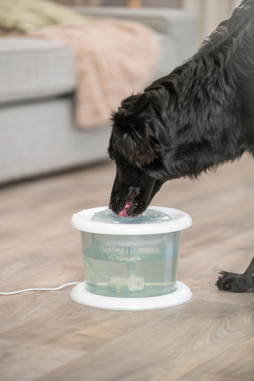 Bubble Stream vandautomat