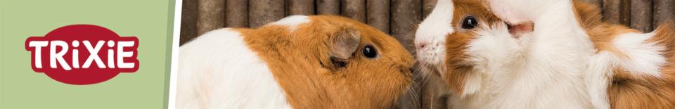 Magnetisk skilt, gnaverartikler