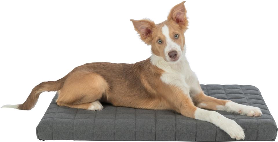 Trixie Caliente Vital hundemadras