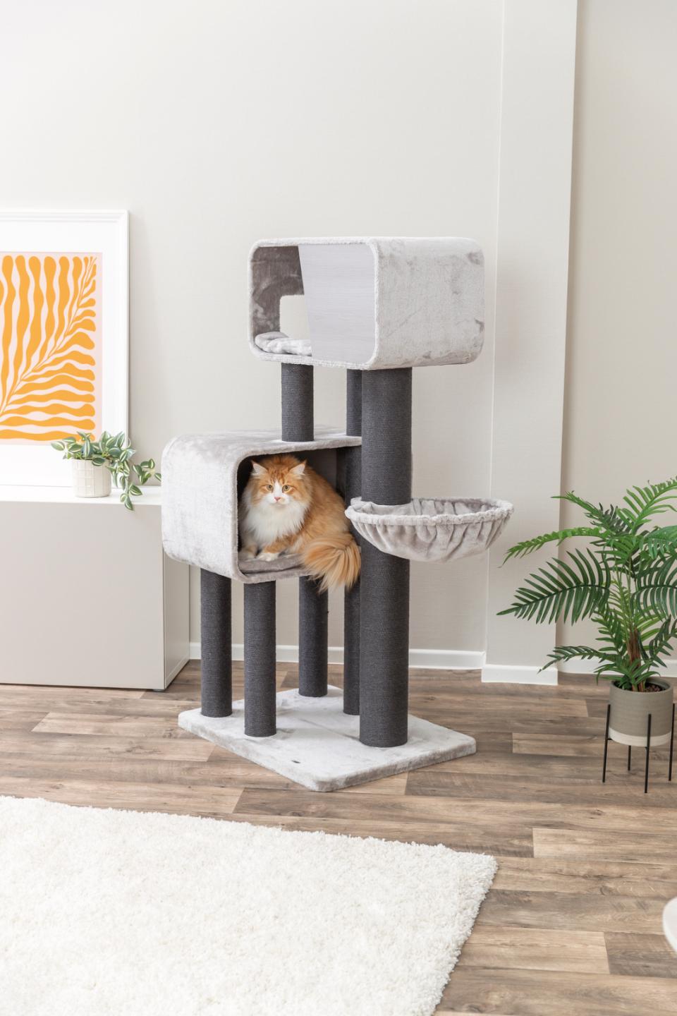 Trixie kattetræ XXL Rafael