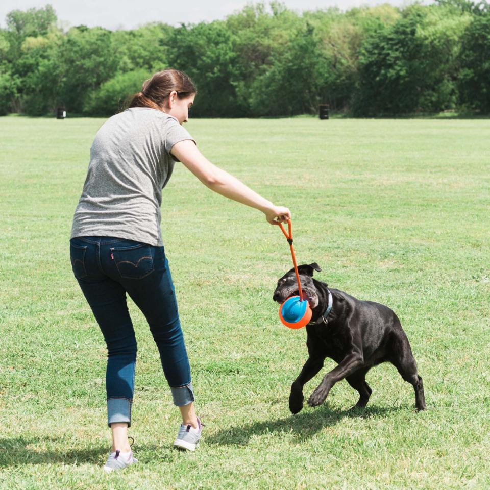 CHUCKIT Rope fetch - bold med reb